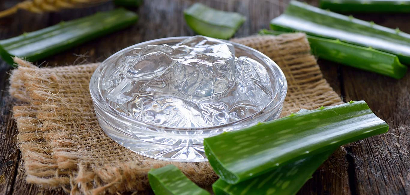 aloe vera na verbranden zon huid