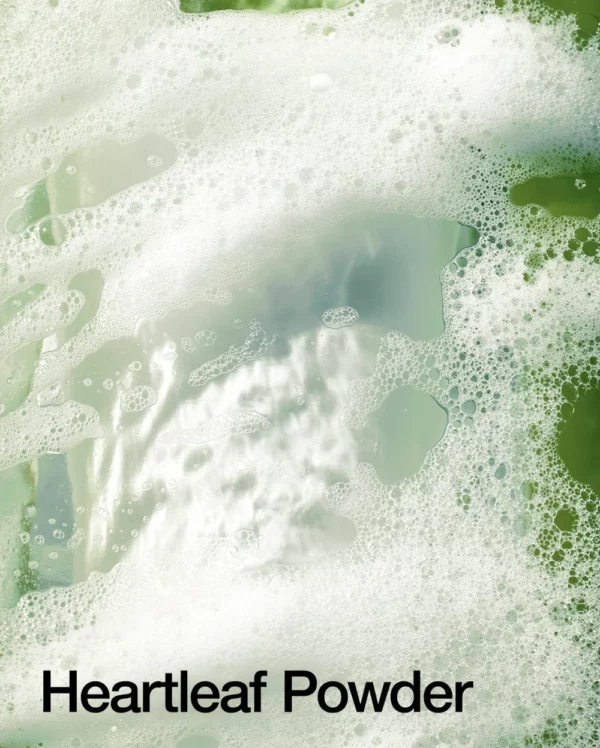 ANUA - Heartleaf Quercetinol Pore Deep Cleansing Foam - Afbeelding 2